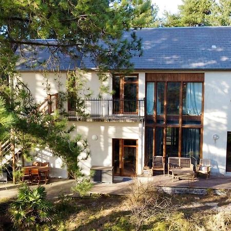 La Villa Dans Les Pins Кен Экстерьер фото