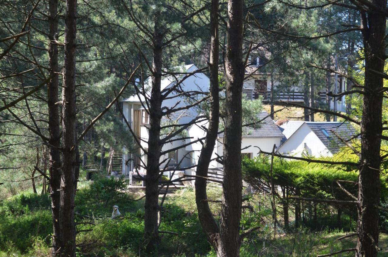 La Villa Dans Les Pins Кен Экстерьер фото